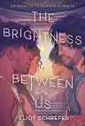 Cover of The Brightness Between Us