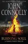 Cover of The Burning Soul