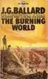 Cover of The Burning World