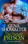 Cover of The Darkest Prison