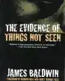 Cover of The Evidence of Things Not Seen