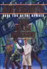 Cover of The False Mirror