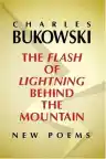 Cover of The Flash of Lightning Behind the Mountain