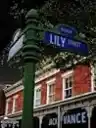 Cover of The House on Lily Street
