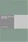 Cover of The Little Lady of the Big House