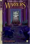 Cover of The Lost Warrior