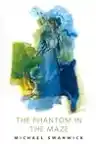 Cover of The Phantom in the Maze