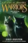 Cover of The Raging Storm