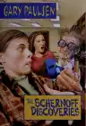 Cover of The Schernoff Discoveries