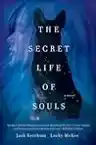 Cover of The Secret Life of Souls