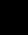 Cover of The Seeing Stick