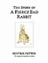 Cover of The Story of a Fierce Bad Rabbit