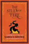 Cover of The Study of Fire