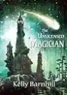 Cover of The Unlicensed Magician