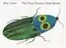 Cover of The Very Clumsy Click Beetle