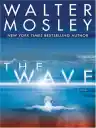 Cover of The Wave