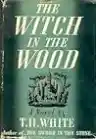 Cover of The Witch in the Wood