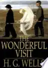 Cover of The Wonderful Visit