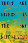 Cover of There Are Rivers in the Sky