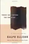 Cover of Three Days Before the Shooting...