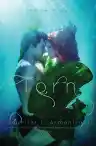 Cover of Torn
