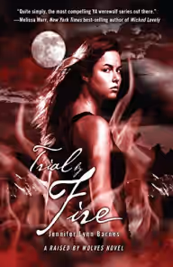 Cover of Trial by Fire
