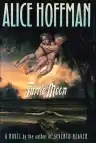 Cover of Turtle Moon