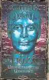 Cover of Understand the Unknown