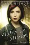 Cover of Vision in Silver