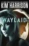 Cover of Waylaid