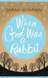Cover of When God Was a Rabbit