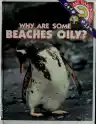 Cover of Why Are Some Beaches Oily?