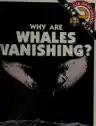 Cover of Why Are Whales Vanishing?