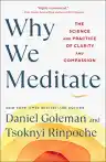 Cover of Why We Meditate: The Science and Practice of Clarity and Compassion