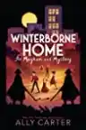 Cover of Winterborne Home for Mayhem and Mystery