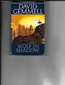 Cover of Wolf in Shadow