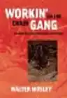 Cover of Workin' on the Chain Gang: Shaking off the Dead Hand of History