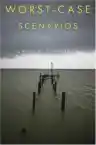 Cover of Worst-Case Scenarios