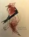 Cover of Wrong Norma